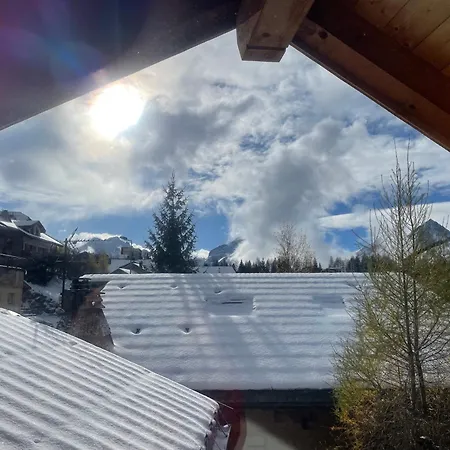 Le Schuss Chalet, Prive, Piste De A 100m Chalet Les Deux Alpes