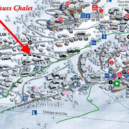 Chalet Le Schuss Chalet, Prive, Piste De A 100m