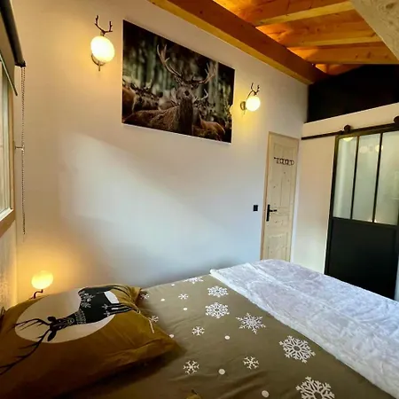 Le Schuss Chalet, Prive, Piste De A 100m *