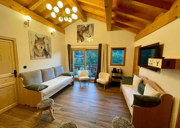 Dağ evi Le Schuss Chalet, Prive, Piste De A 100m Les Deux Alpes