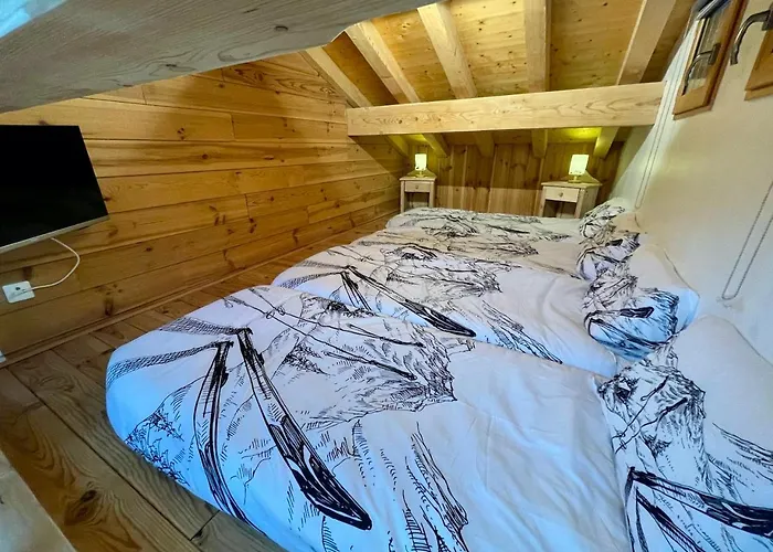 Le Schuss Chalet, Prive, Piste De A 100m Dağ evi *