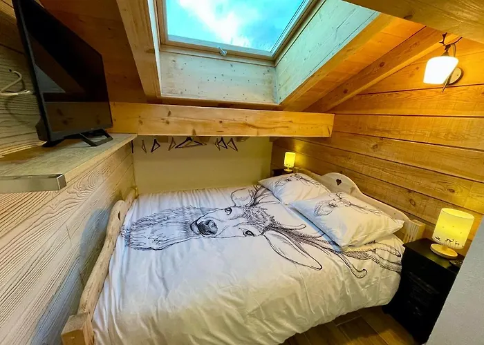 Le Schuss Chalet, Prive, Piste De A 100m Les Deux Alpes