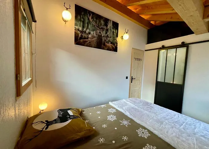 Le Schuss Chalet, Prive, Piste De A 100m *