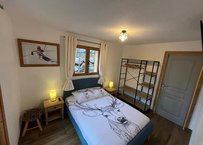 Le Schuss Chalet, Prive, Piste De A 100m Dağ evi